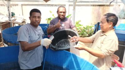 Pemprov Papua Selatan Dukung Peternak Ikan OAP dengan Bantuan Pakan