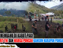 Bahu Membahu di Kabut Pagi: Prajurit TNI dan Warga Puncak Bangun Harapan Pangan