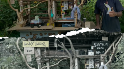 Kisah Tinus Wetipo: Dari Gerobak Sampah Menjadi Kedai Kopi yang Menghidupkan Harapan di Papua Pegunungan