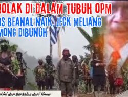 Terungkap Gejolak di Dalam Tubuh OPM: Anis Beanal Naik, Jeck Meliyan Kemong Dibunuh