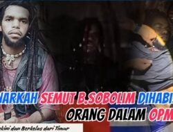 Perebutan Kepemimpinan: Benarkah Semut B. Sobolim Dihabisi Orang Dalam OPM?