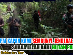 Sampai Kapan Kami Sembunyi, Jenderal?” Suara Lelah dari Hutan Papua