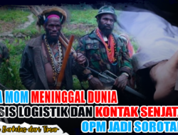 Tena Mom Meninggal Dunia, Krisis Logistik dan Kontak Senjata OPM Jadi SorotanTena Mom Meninggal Dunia, Krisis Logistik dan Kontak Senjata OPM Jadi Sorotan
