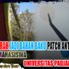 Bangga Papua! Buah Merah Jadi Bahan Baku Patch Anti Penuaan Karya Mahasiswa Universitas Padjadjaran