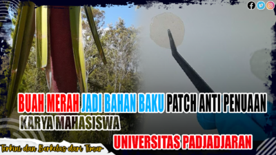 Bangga Papua! Buah Merah Jadi Bahan Baku Patch Anti Penuaan Karya Mahasiswa Universitas Padjadjaran