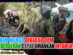 Rumah Warga Dibakar OPM, TNI Bergerak Cepat Amankan Intan Jaya!