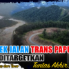 Proyek Jalan Trans Papua Ditargetkan Tuntas Akhir 2026