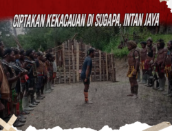 TPNPB-OPM Rampas Dana Desa dan Ciptakan Kekacauan di Sugapa