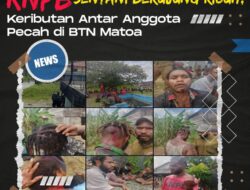 Pertemuan Tertutup KNPB Sentani Berujung Ricuh, Keributan Antar Anggota Pecah di BTN Matoa