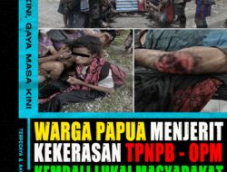 Warga Papua Menjerit: Kekerasan TPNPB-OPM Kembali Lukai Masyarakat Sipil di Yahukimo